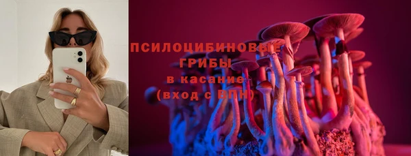 МДПВ Богданович