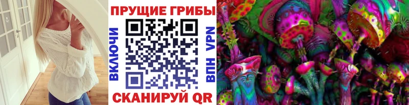 как найти закладки  дарк нет клад  Галлюциногенные грибы мицелий  Онега 